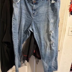 Lane Bryant Light Blue Ankle & Cropped Jeans